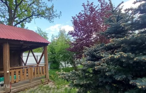 Частный дом престарелых Одинцово Дубки