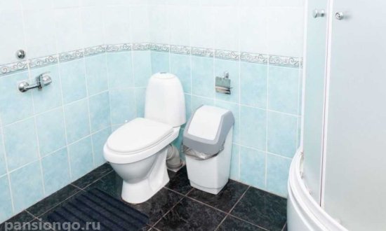 Частный пансионат «Мамонтовка» фото 5