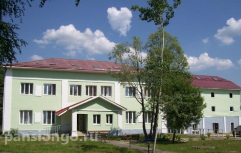 Пансионат Желтый крест в Хорлово 
