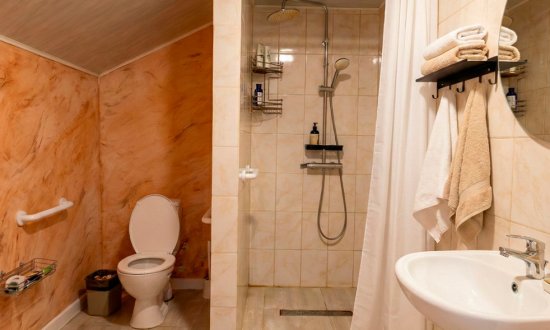 Частный пансионат Life Pension в Истре фото